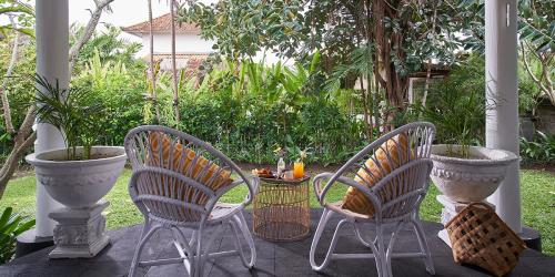 bamboo-garden1_copy