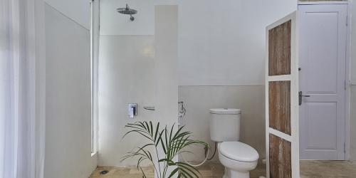 bamboo-resized_0027_common_bath_3